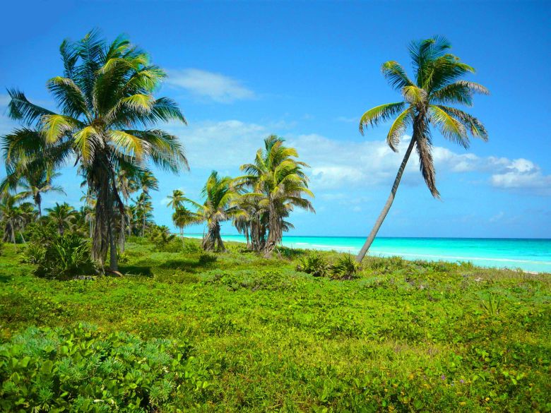 Costa Maya