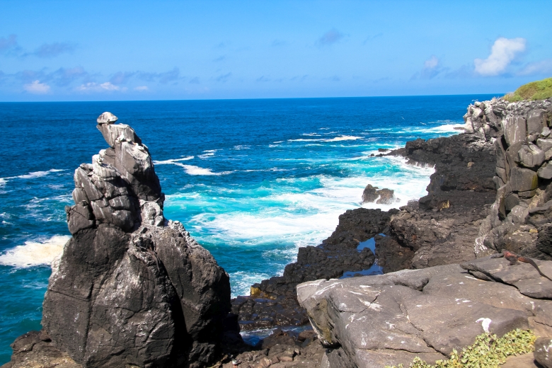 Gardner Bay (Española)