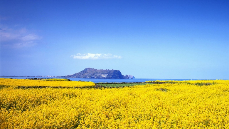 Jeju Island