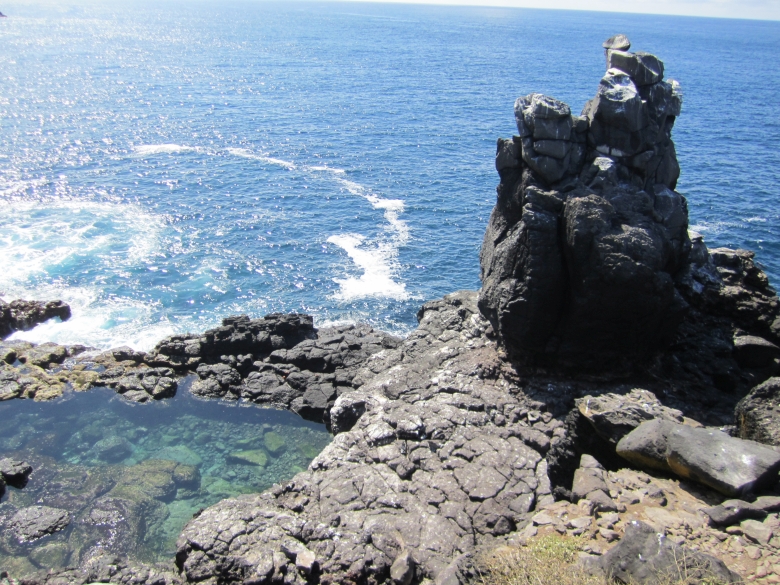 Punta Suarez