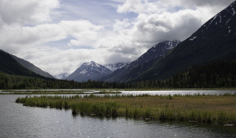 Seward